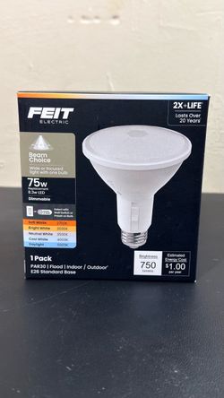 Feit Electric PAR30 LED Flood Light Bulb