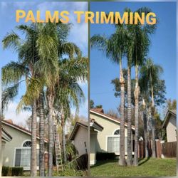 Stump Grinding, Tree Messge