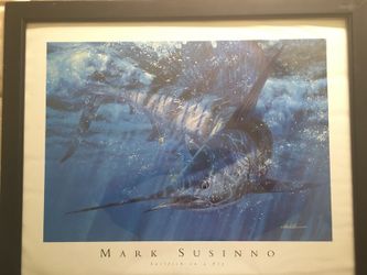 Framed Sailfish Picture