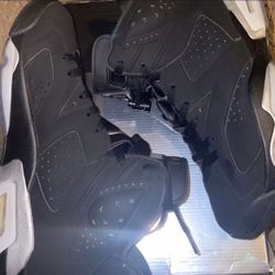 Jordan 6 Chrome