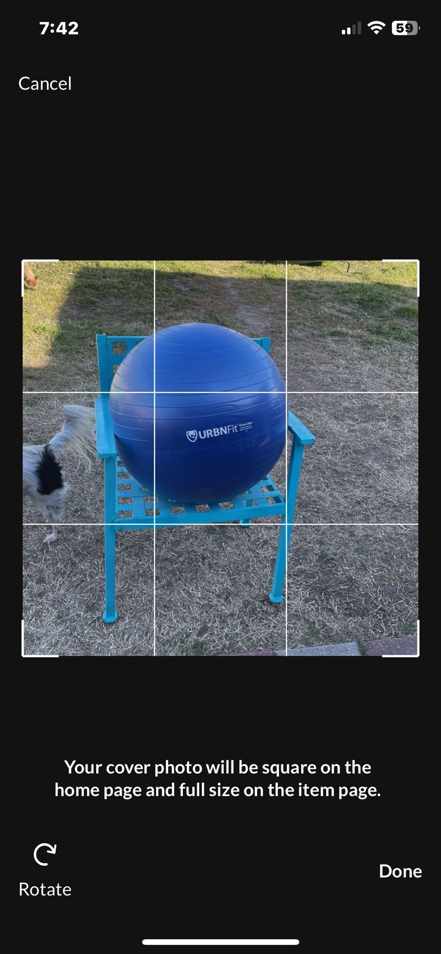 Exercise Ball