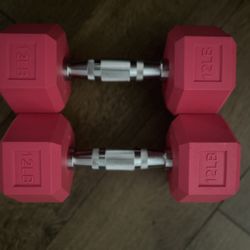 Weights Exercise