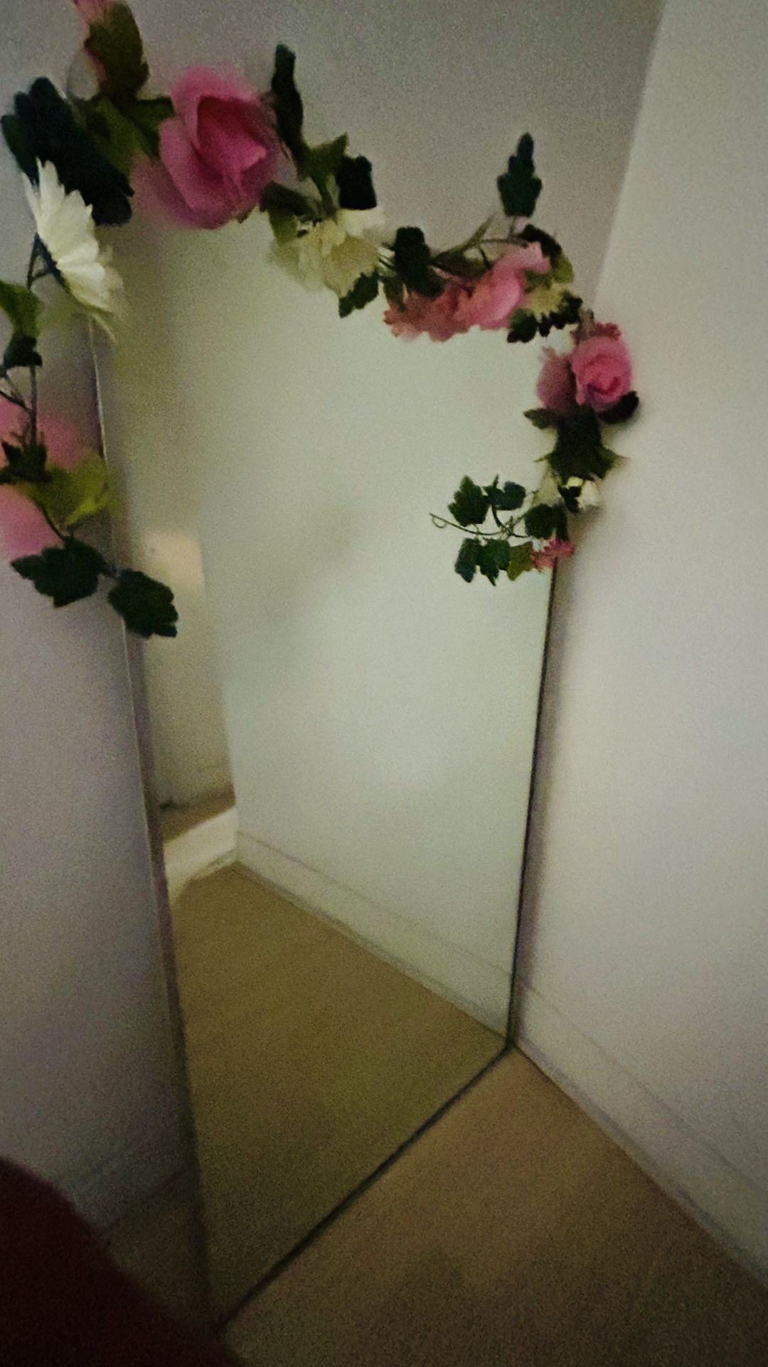 Used Mirror With Metal Frame 5 Feet Long And 2 And Half Feet Wide