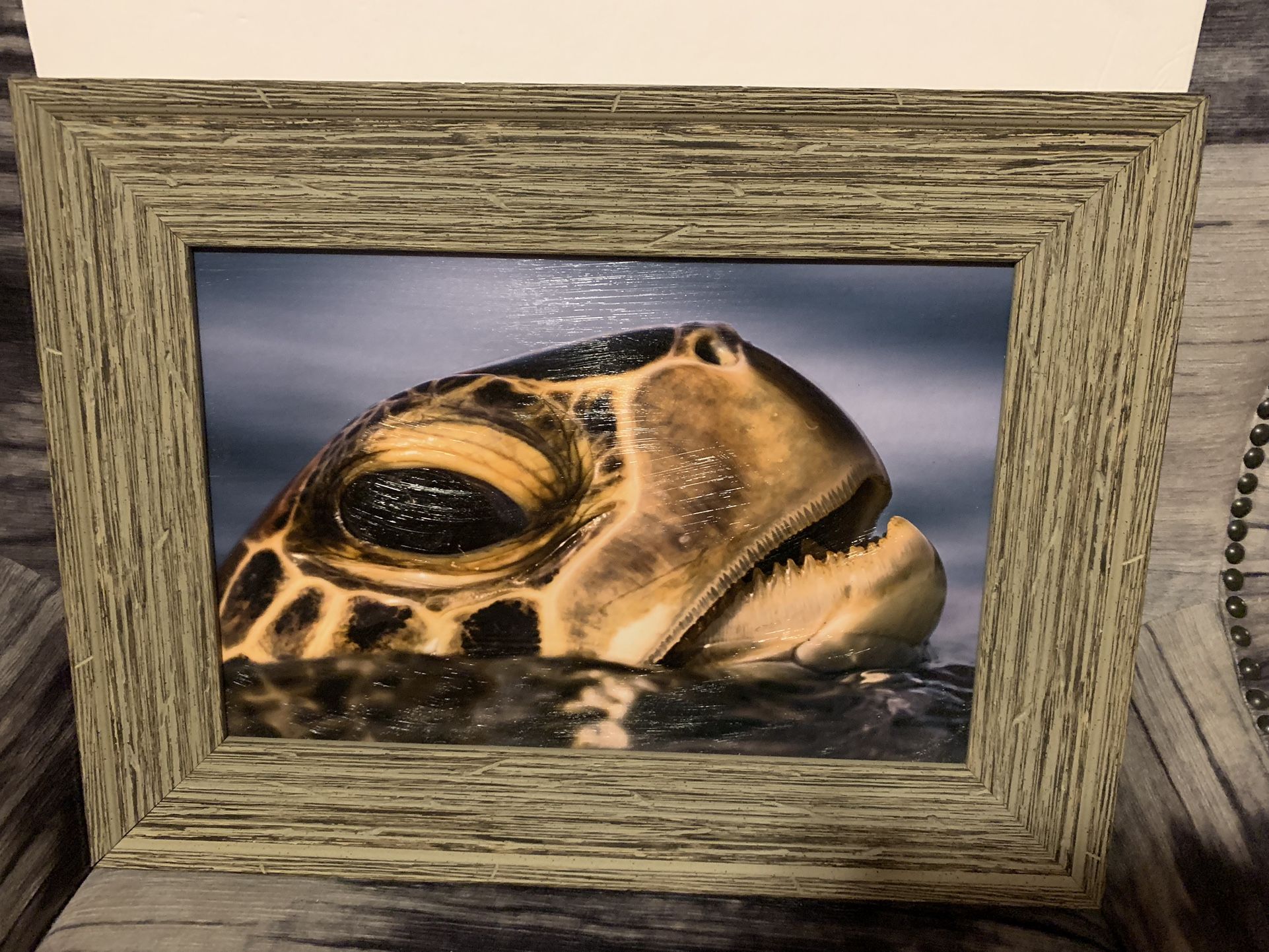 20 By 15 Inches Sea Turtle Poking His Head Out From The Water Painted Artwork