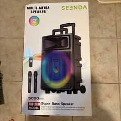 Karaoke Portable Speaker and Microphones