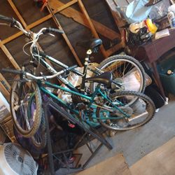 3 Bikes  One Kids And Other  Two Adults 