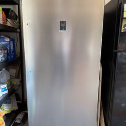 Stand Up Freezer