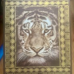Tiger Photo 