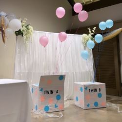 Twins Gender Reveal Boxes