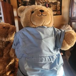 Dr Teddy Bear 