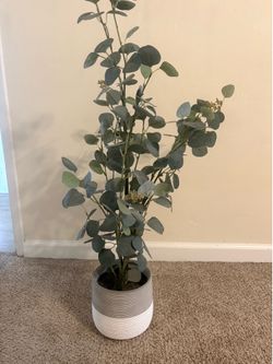 Modern Artificial Eucalyptus Plant in Decorative Pot