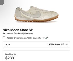 Nike x Jacquemus (size 10)