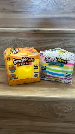 Viral Cake and Cheese Squishy