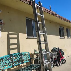 16 Ft Ext Ladder