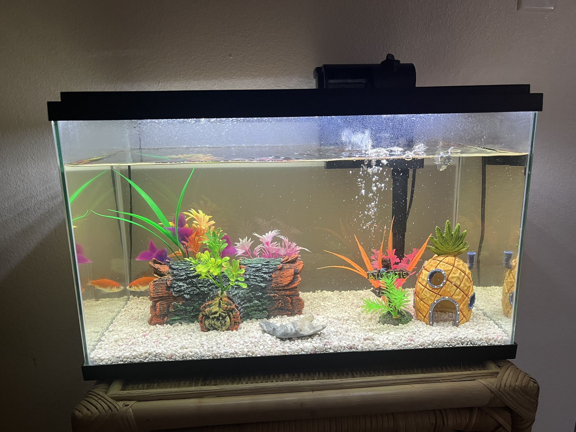 Fish Tank