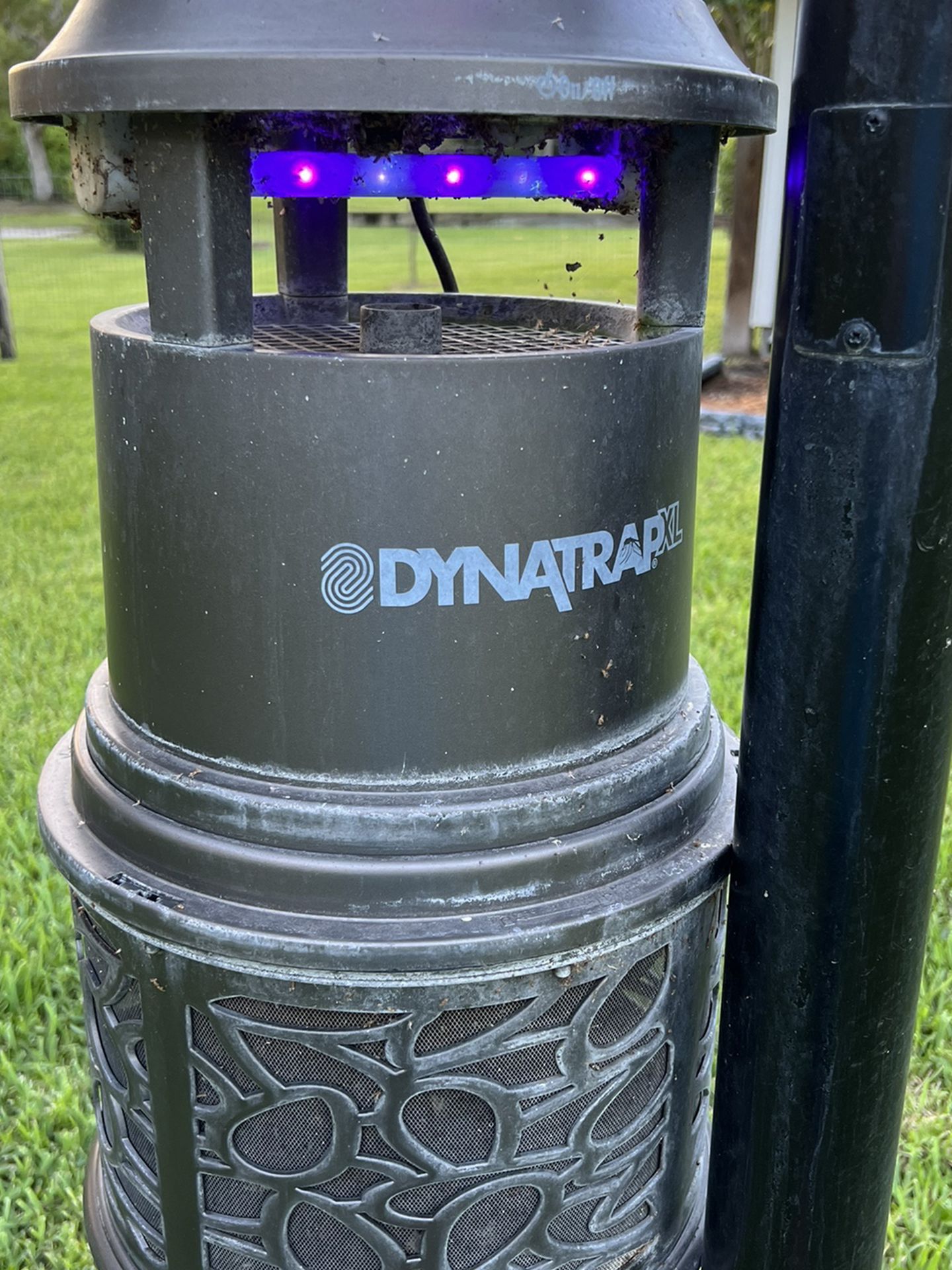 Dynatrap XL - 1 Acre Coverage