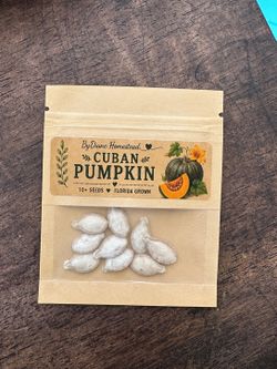 🎃 Cuban Pumpkin Seeds 🌱 | Florida Grown | 10+ Seeds | $5
