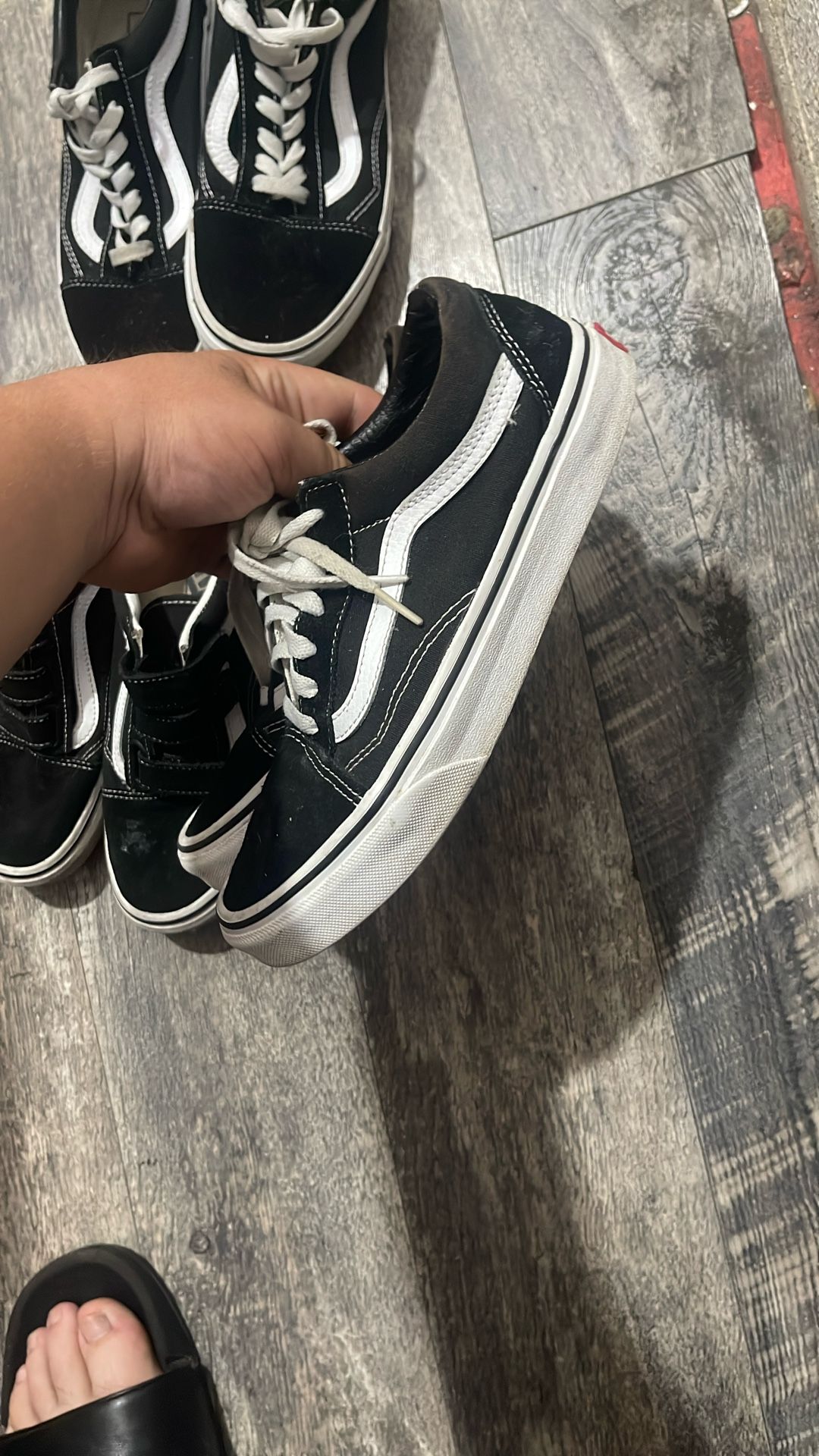 VANS Size 5.5