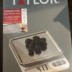 Digital Scale 