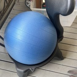 Balance Ball Chair