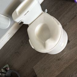 Toddler toilet