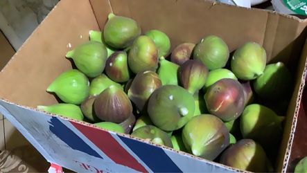Fresh Figs – Large Box