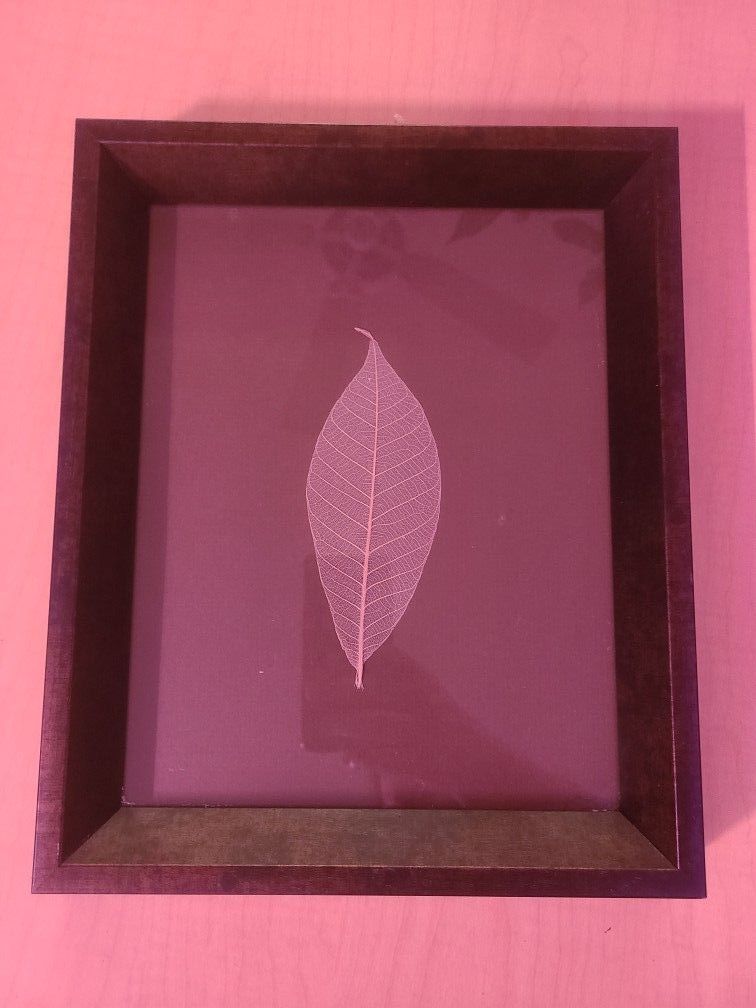 Leaf Protrait