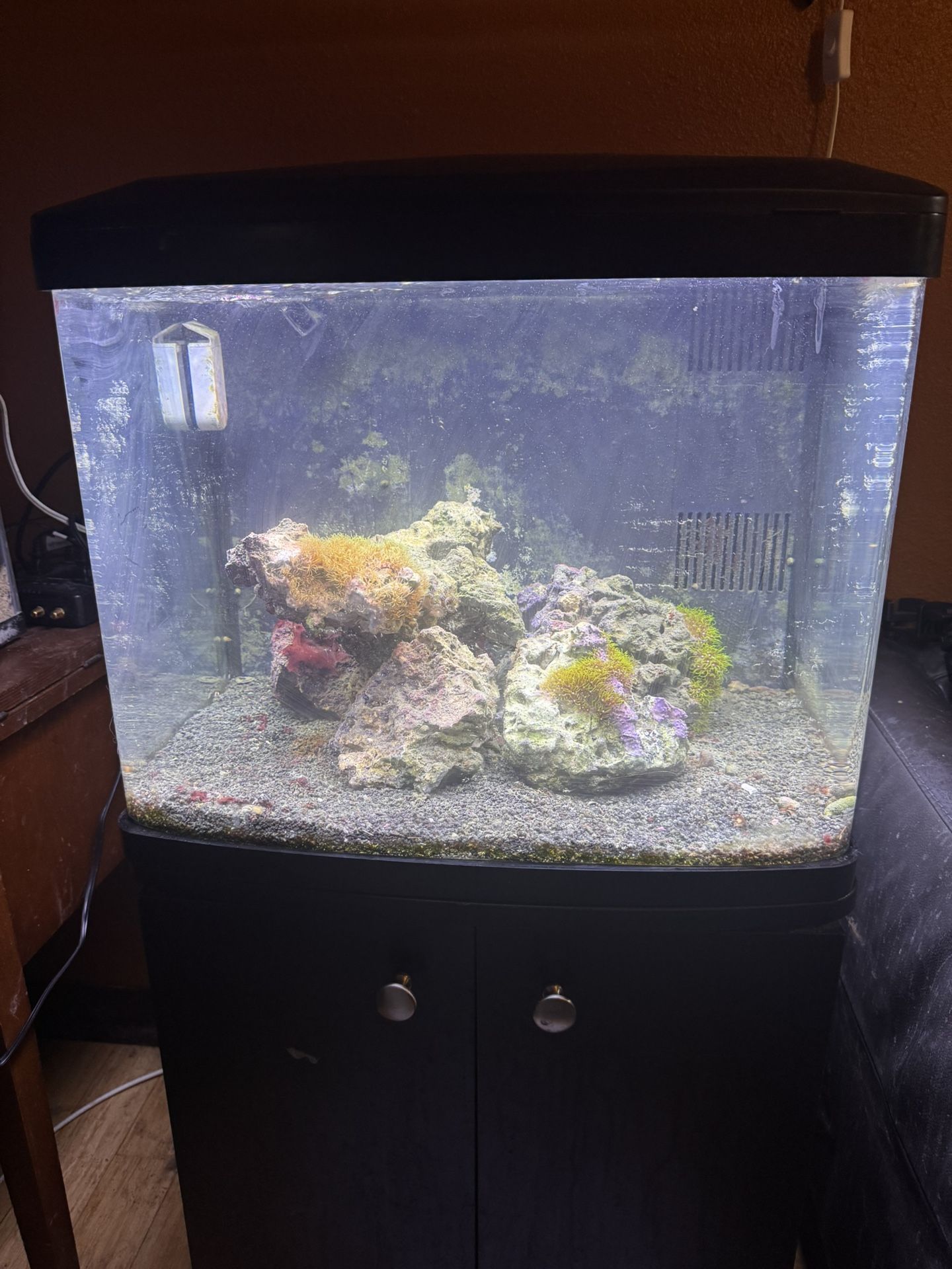 30 Biocube & Stand AIO - Saltwater