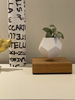 Flyte - Lyfe Levitating Planter. White with Walnut Base. Excellent  Condition. for Sale in Miami, FL - OfferUp