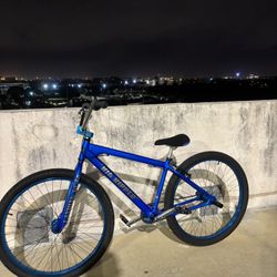 Brand New Big Ripper