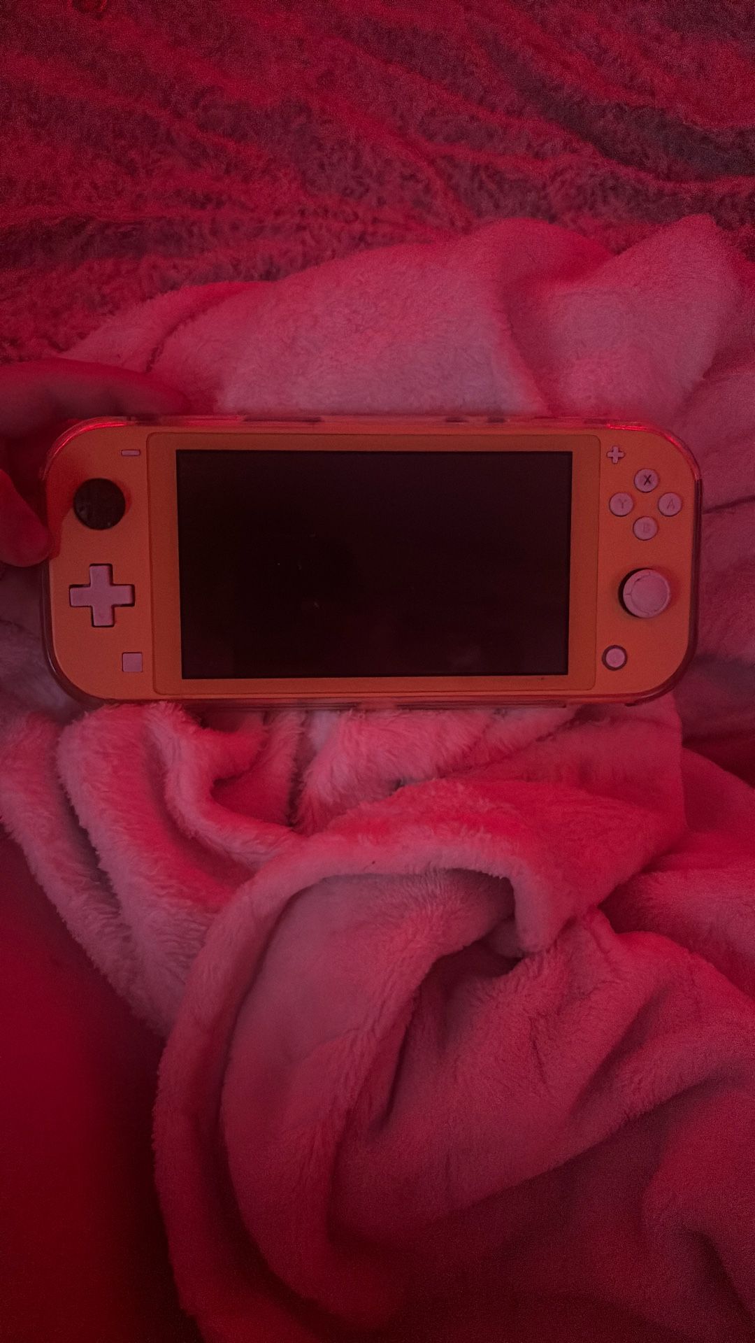 nintendo switch light