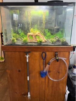 Fish tank with stand