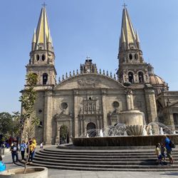 Jaula /canarios /canaries