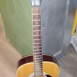 Maestro Concert Acoustic Guitar