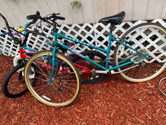 3 Bikes for parts all for $10