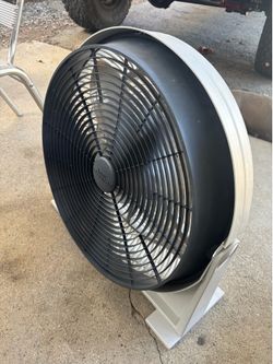 Fan