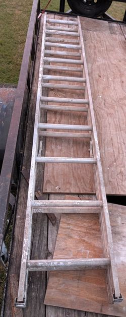 20' Extension Ladder