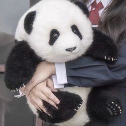 panda plush
