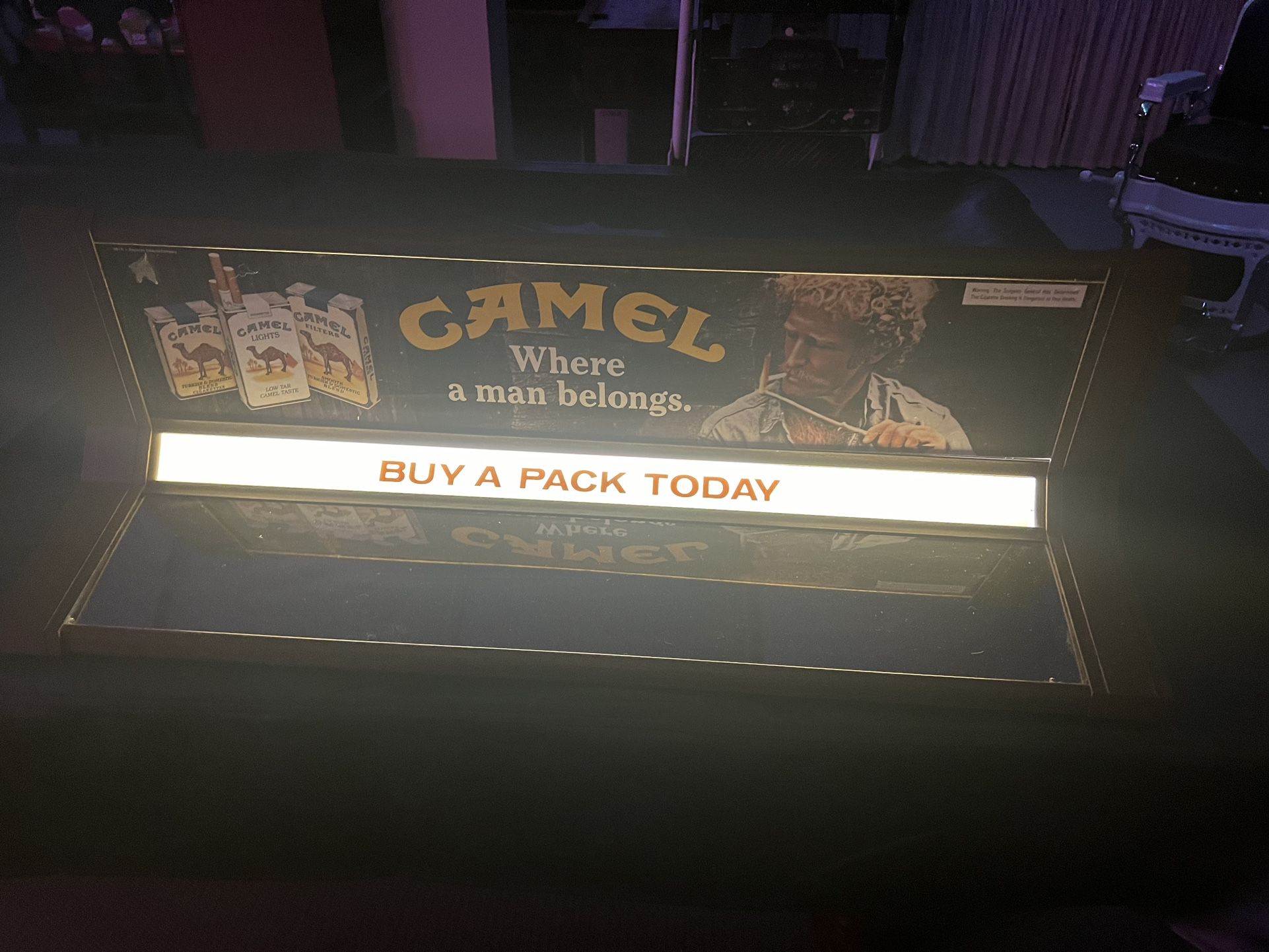 Camel Light Up Sign
