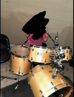 Yamaha tour custom drum shells