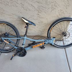 Giant XtC Jr. 24 Mountain Bike Kids Frame, Bars And Wheels