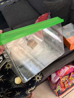 Clear Plastic Reptile/Critter Enclosure with Green Lid
