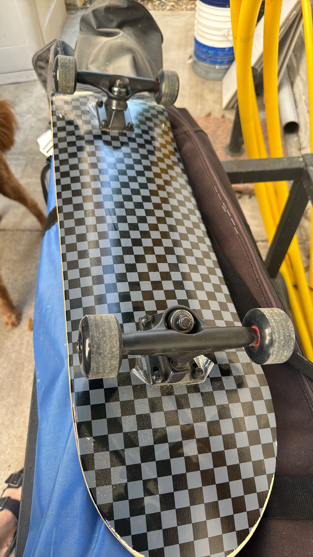 Retrospec Skateboard