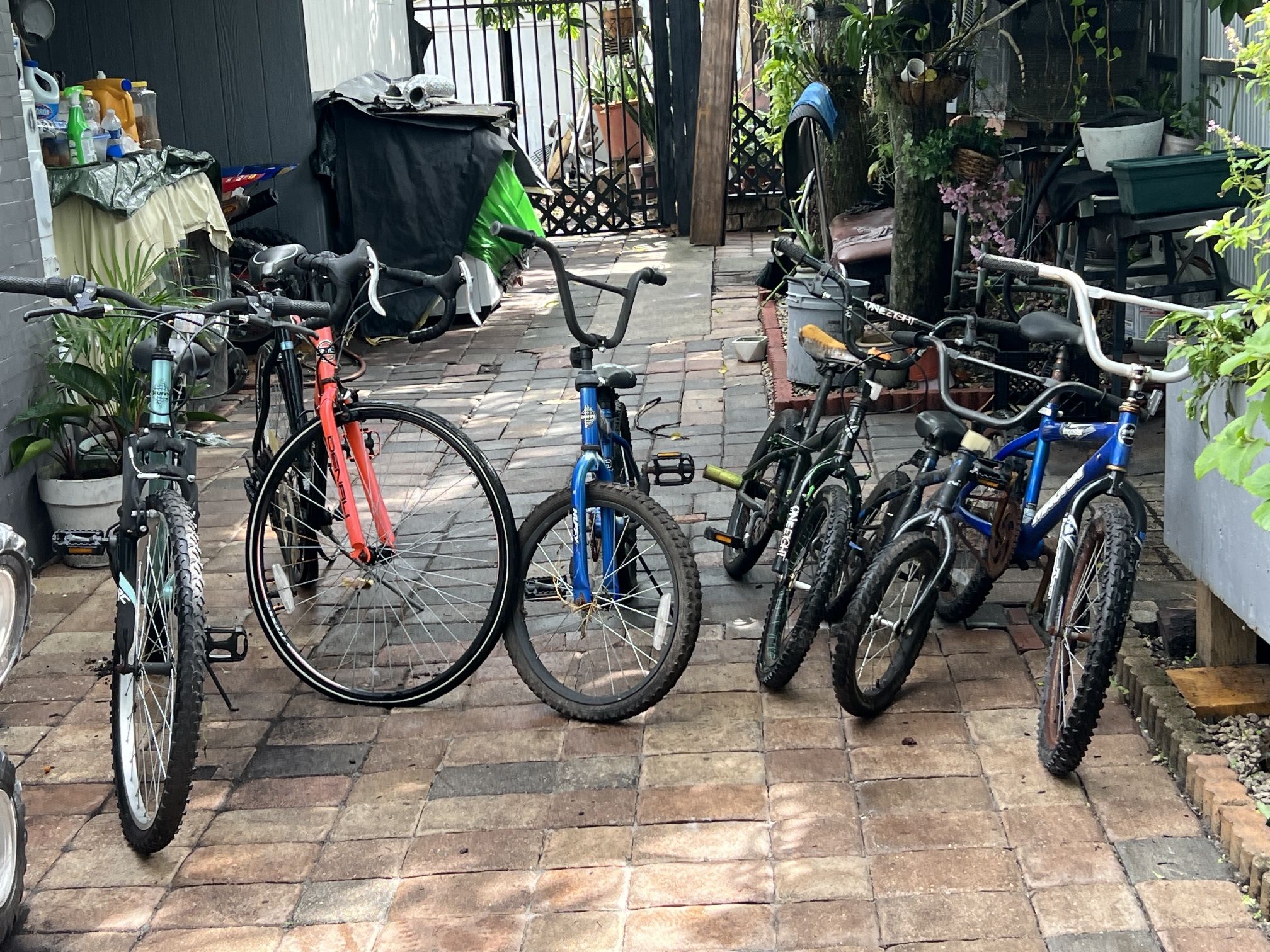 Bike π² All $ 80