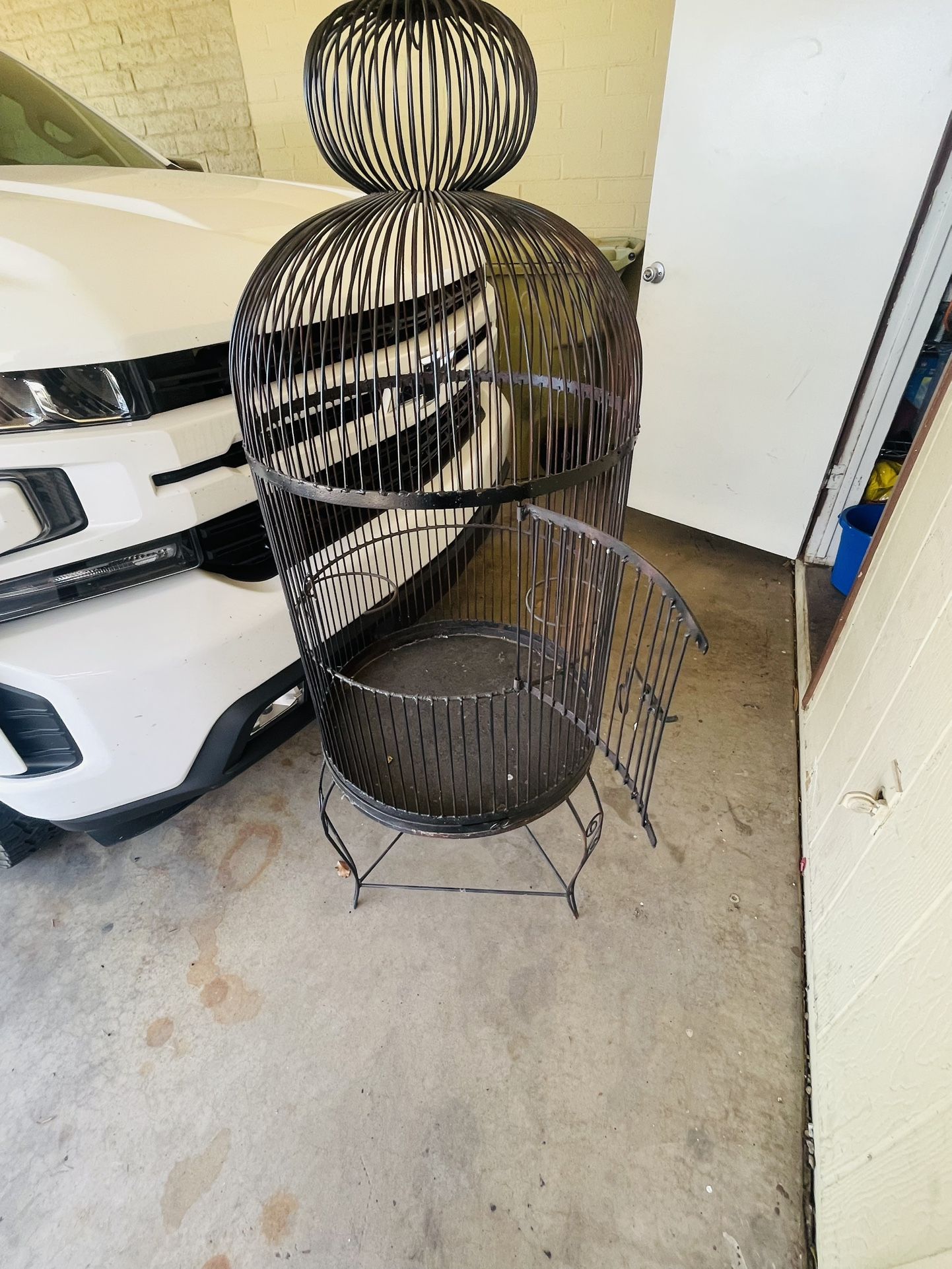 Bird Cage