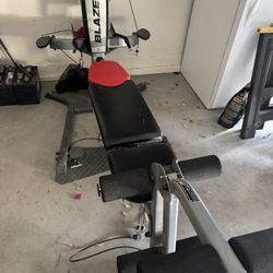 Bow flex Full Body