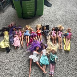 Barbie Dolls Set -14 Piece 