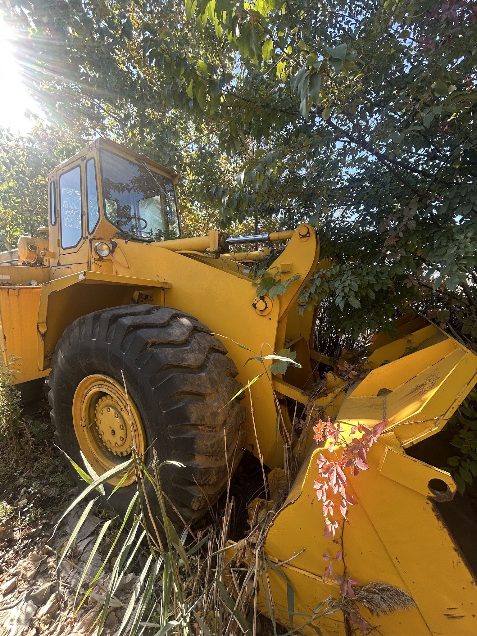 CLARK MICHIGAN 125P-GM Wheel loader