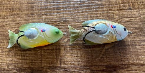 $20 Lot of 2🎣Top Water Bass! LIVETARGET Sunfish Hollow Body - 3-1/2'