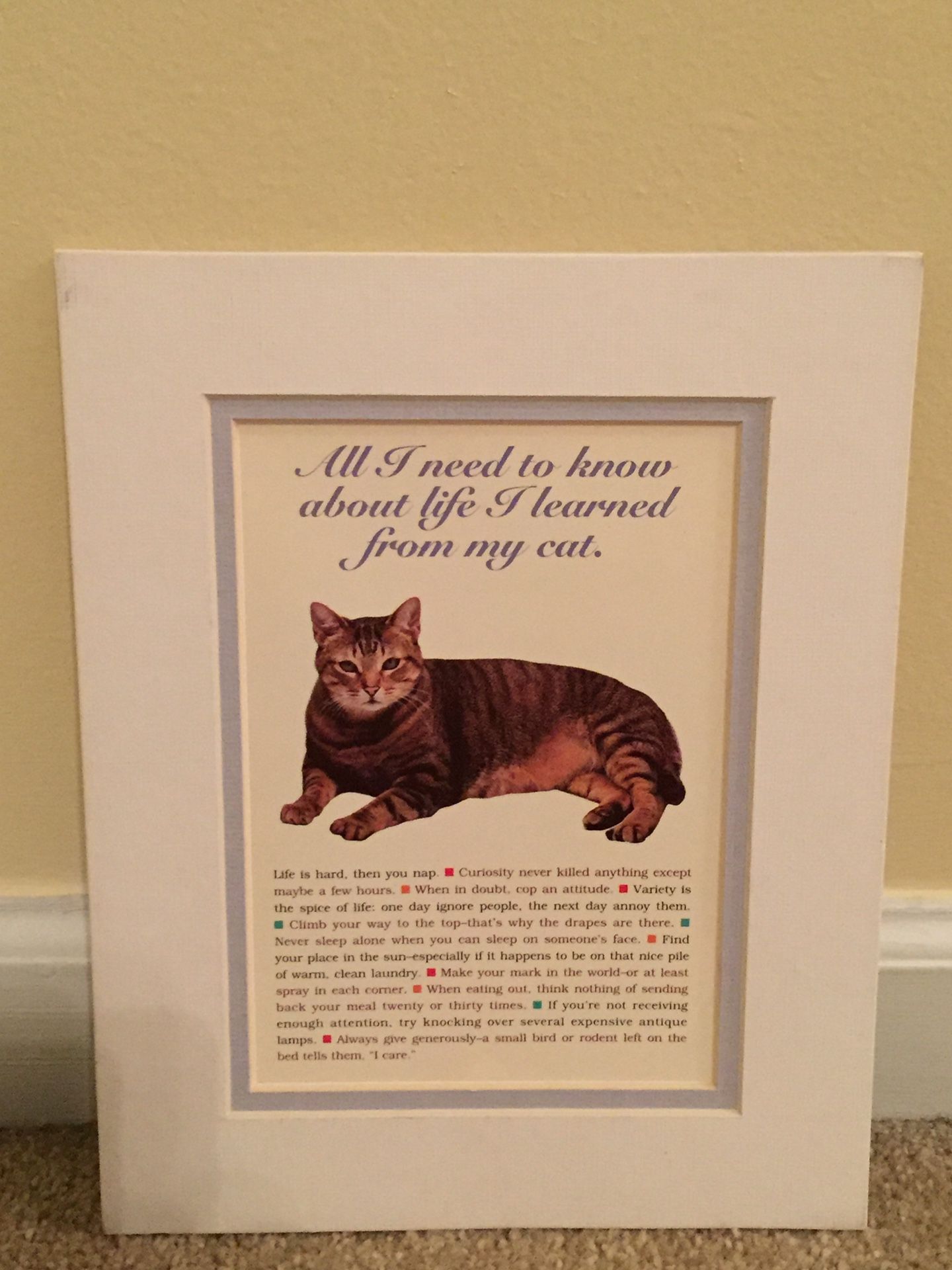 Cat print